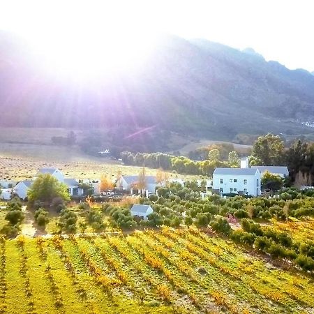 Droom Guesthouse Franschhoek Ngoại thất bức ảnh