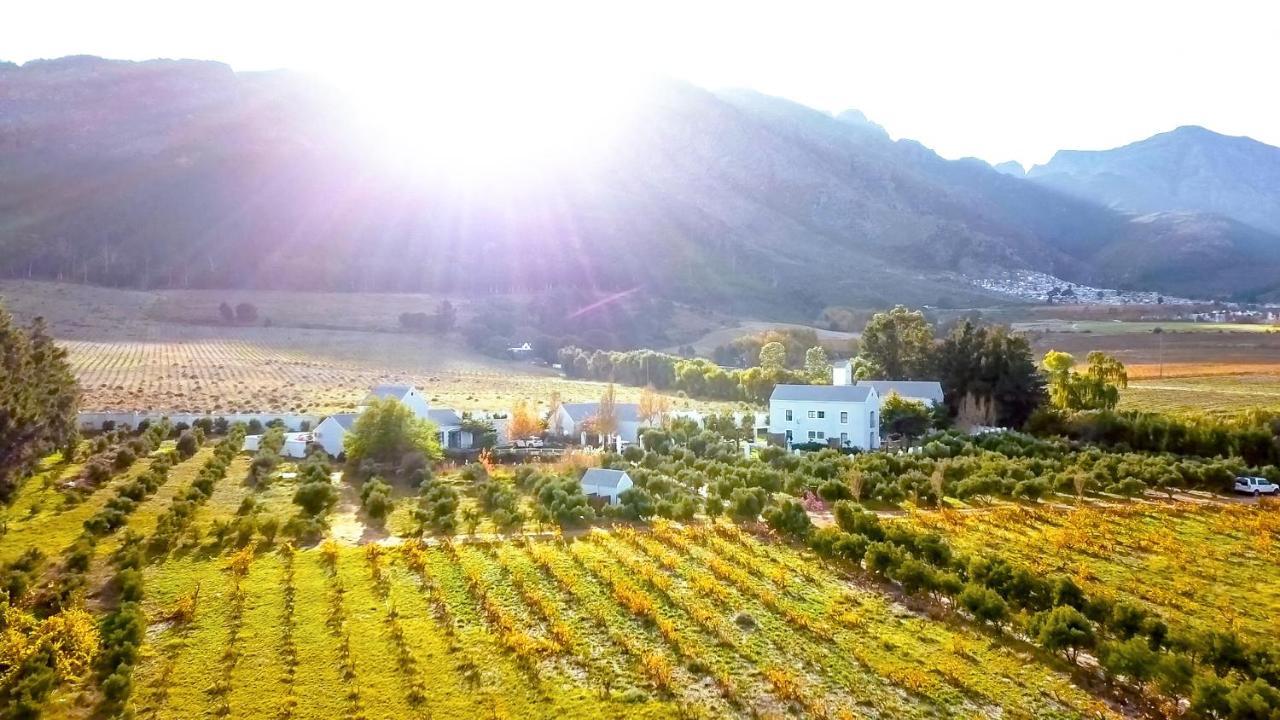 Droom Guesthouse Franschhoek Ngoại thất bức ảnh