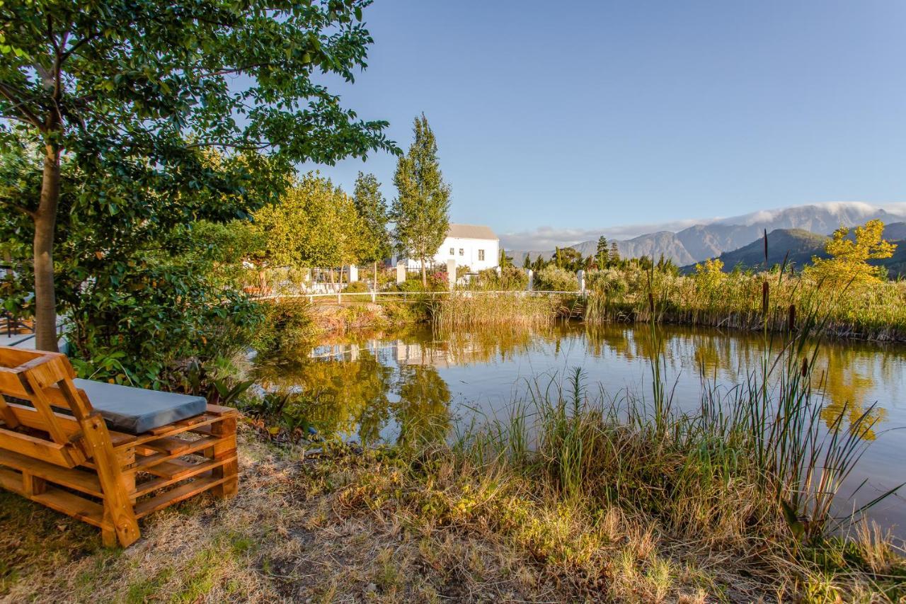 Droom Guesthouse Franschhoek Ngoại thất bức ảnh